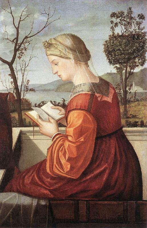 CARPACCIO, Vittore The Virgin Reading fd France oil painting art